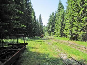 Skanzen Vychylovka, Historická lesná úvraťová žele