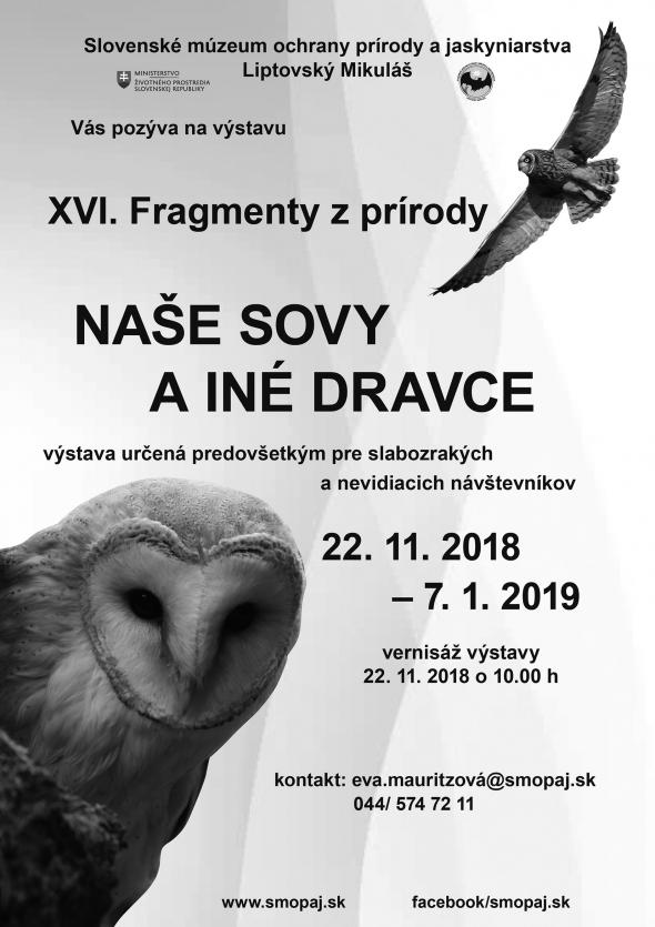 Fragmenty z prírody.jpg Fragmenty z prírody.jpg