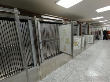Fotogaléria