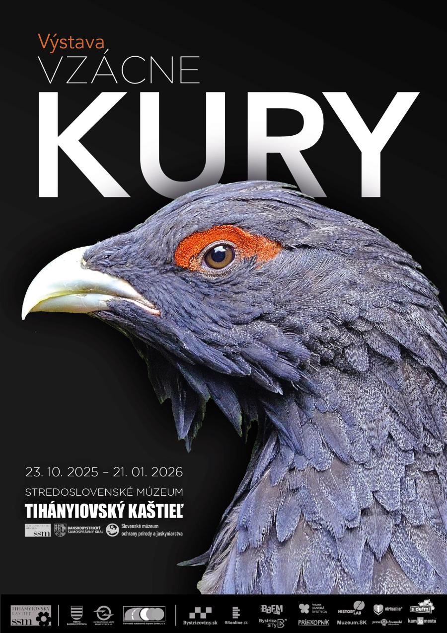 Vzácne kury Fotogaléria