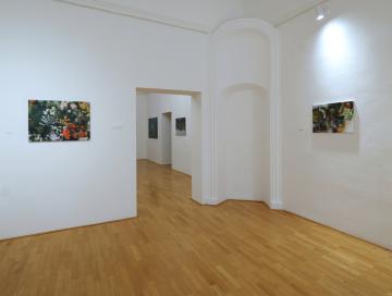 Dušana Vrbovská: Nájsť cestu…