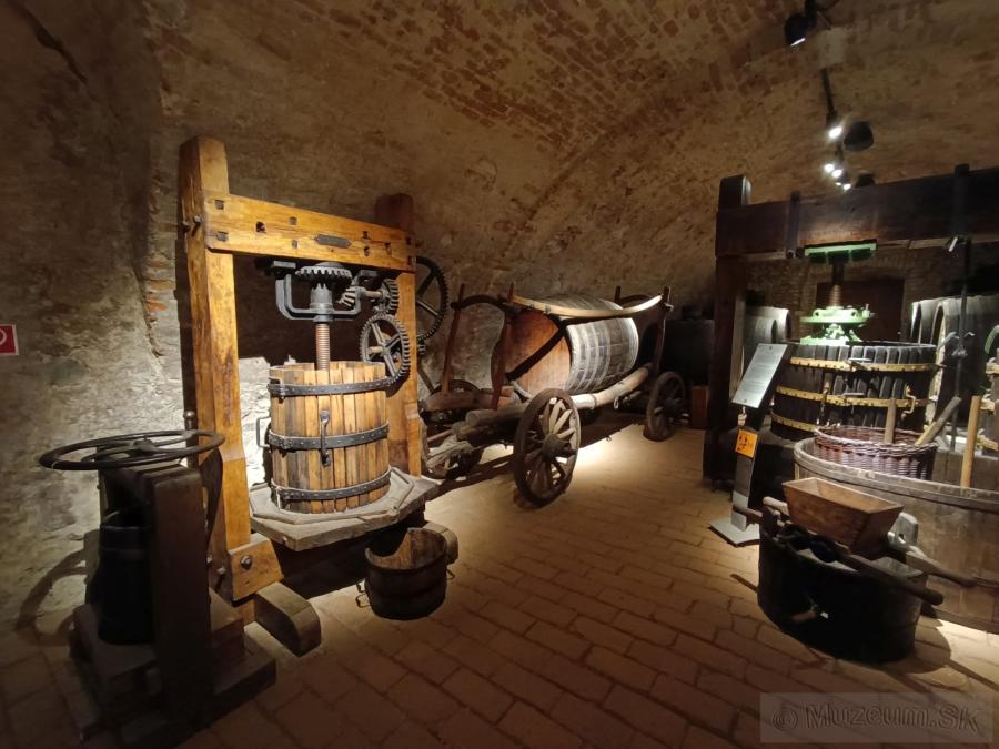 Malokarpatské múzeum v Pezinku