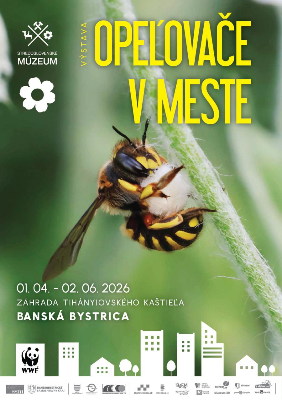 webFINAL_Opelovace v meste-TK.jpg